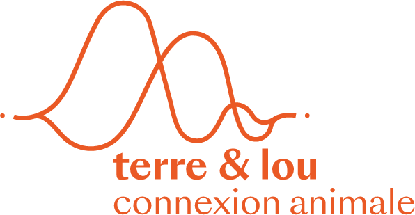 LogoCoquelicot