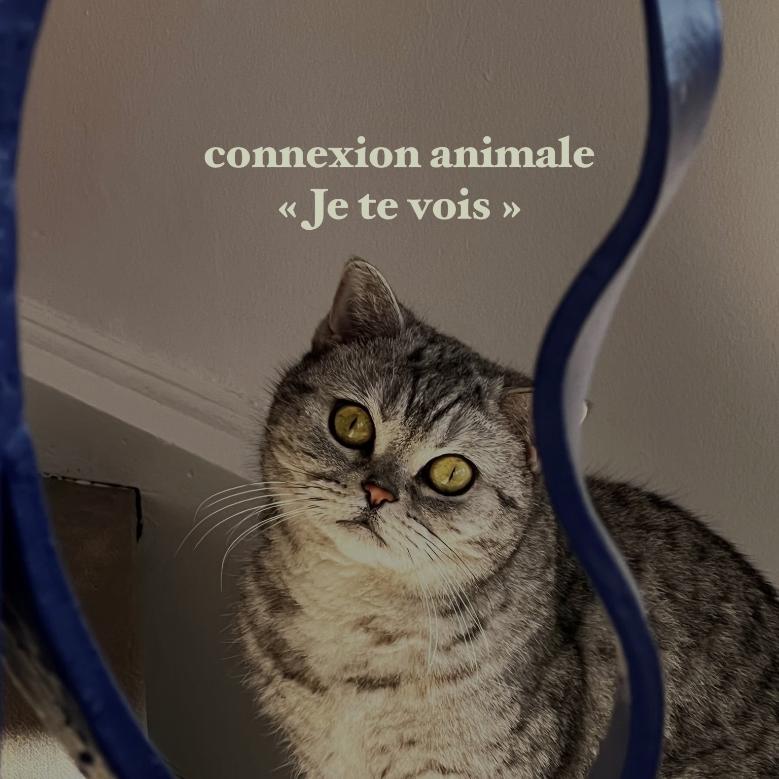 31321605-f0f5-4ce0-ab5f-2488bc3a813e - copie